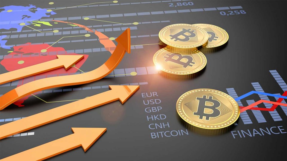 VIP Forex Account
