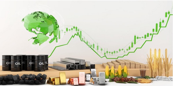 VIP Forex Account